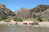 Namibia (75)